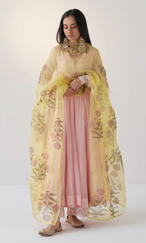 Stunning Peach Color Soft Net Base Fancy Work Designer Gown