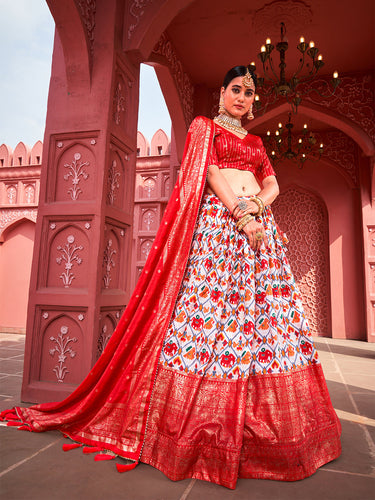 Customised Handcrafted Red Bridal Lehenga Choli Resham Work SF674SD