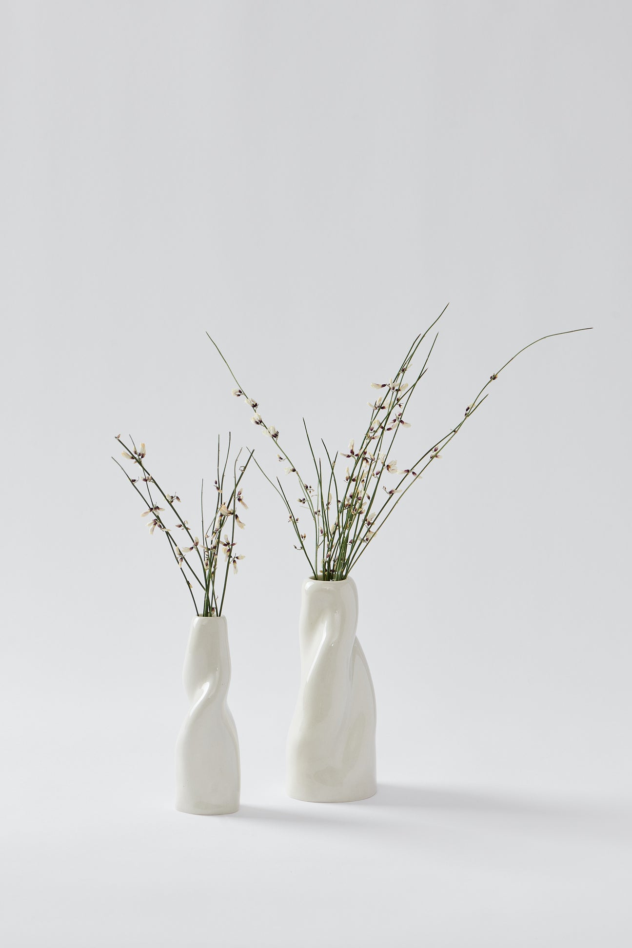 two ceramic vases holding dried flowers on a white background