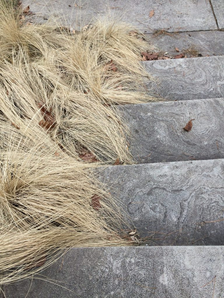 dry grass on stone steps
