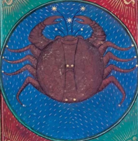The Crab Art Work Image