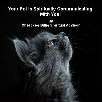 Your Pet Is Spiritually Communicating With You Cherokee - 