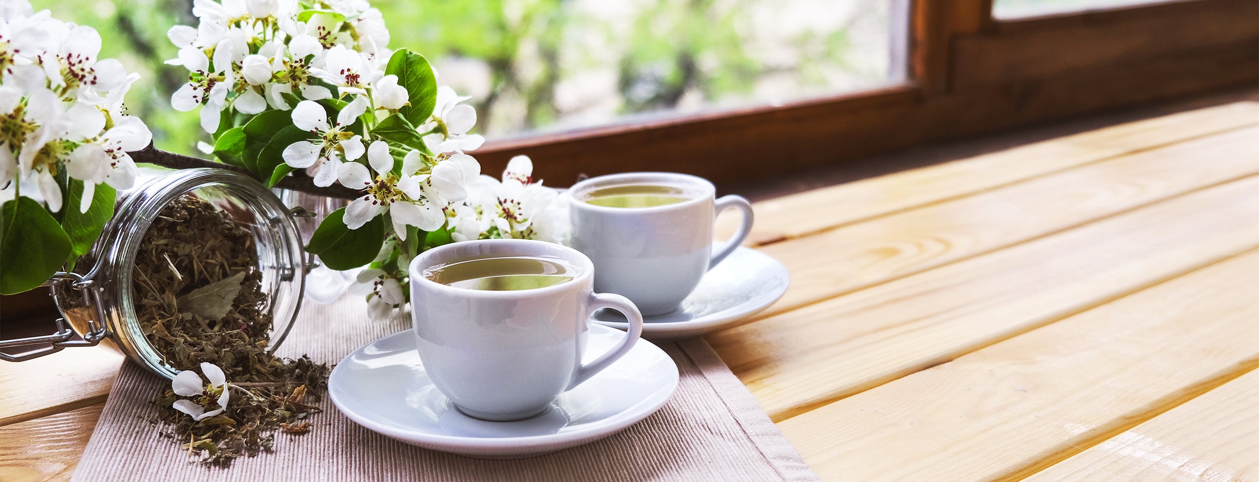 Uptown Tea Shop - Premium Teas and Accessories - White Tea Collection