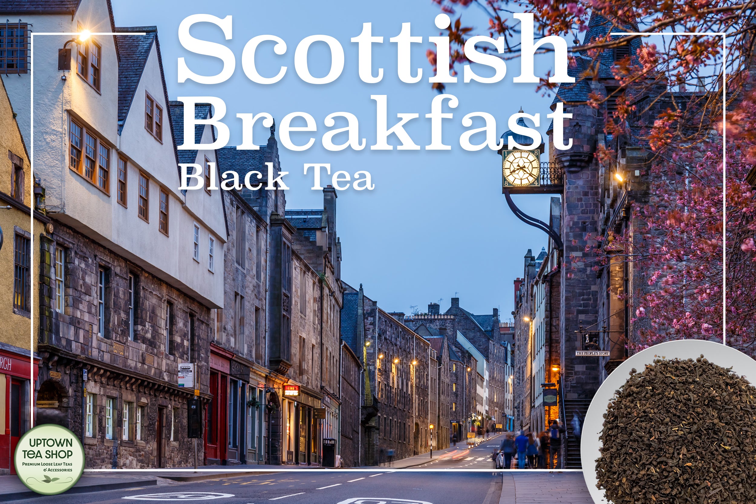 Uptown Tea Shop - Scottish Breakfast Black Tea