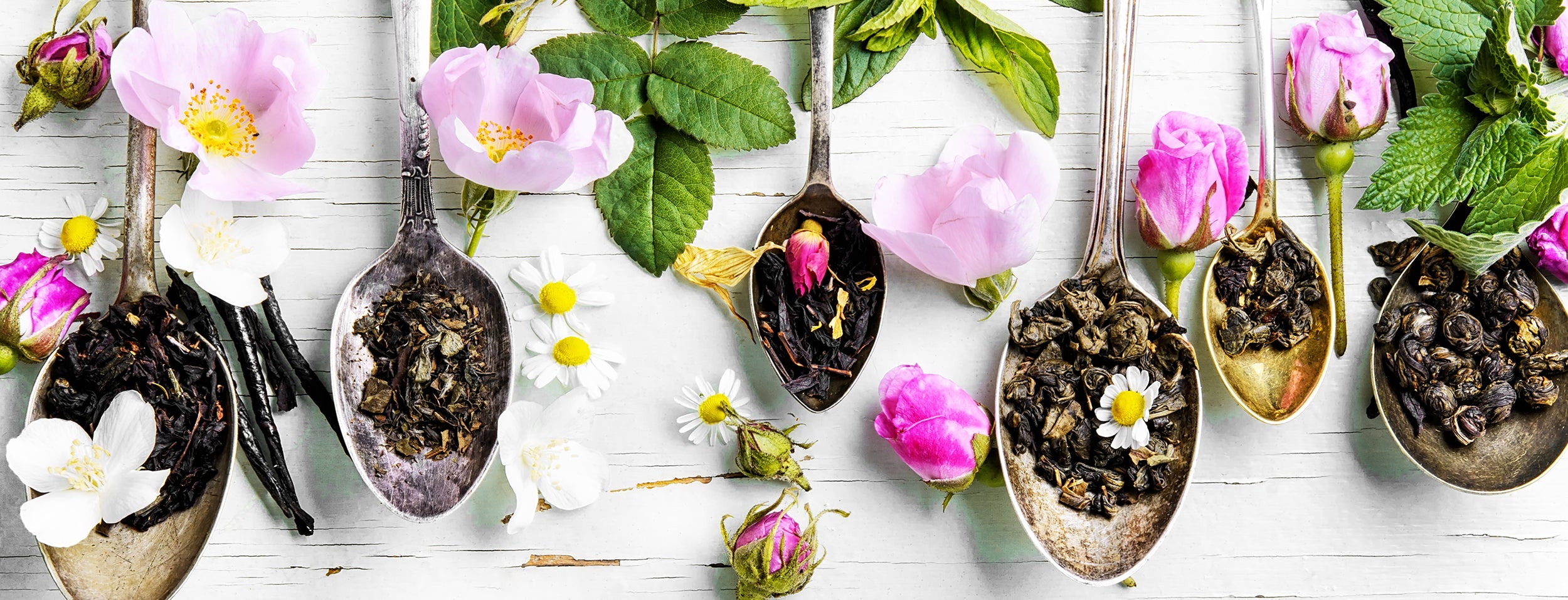 Uptown Tea Shop - Premium Loose Leaf Teas and Accessories | Spring Tea Collection