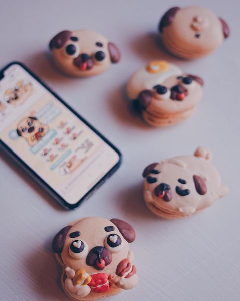 Image of the Puglie Piping Guide on an iPhone with an assortment of Puglie Macarons scattered to the right of the phone.