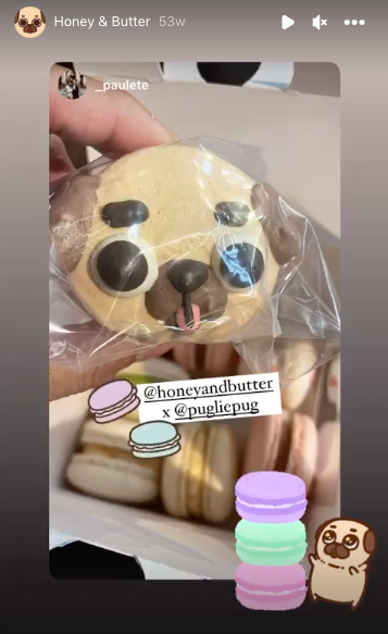 Puglie Pug face macaron made by Honey and Butter held by a customer's hand.