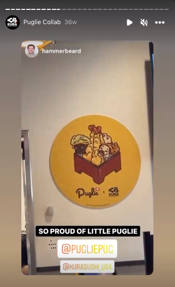 Instagram Story showing a circular art panel of Mini Puglies in a tempura set hung up on a Kura Sushi restaurant wall, caption says “So proud of little puglie”