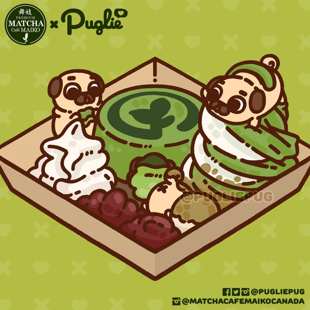 Illustration of Mini Puglies in a tray that has a matcha lava cake, whip cream, soft serve, and red bean. The Mini Puglies are eating the cake, stuck in the soft serve, and stuck in the red bean - bum up.