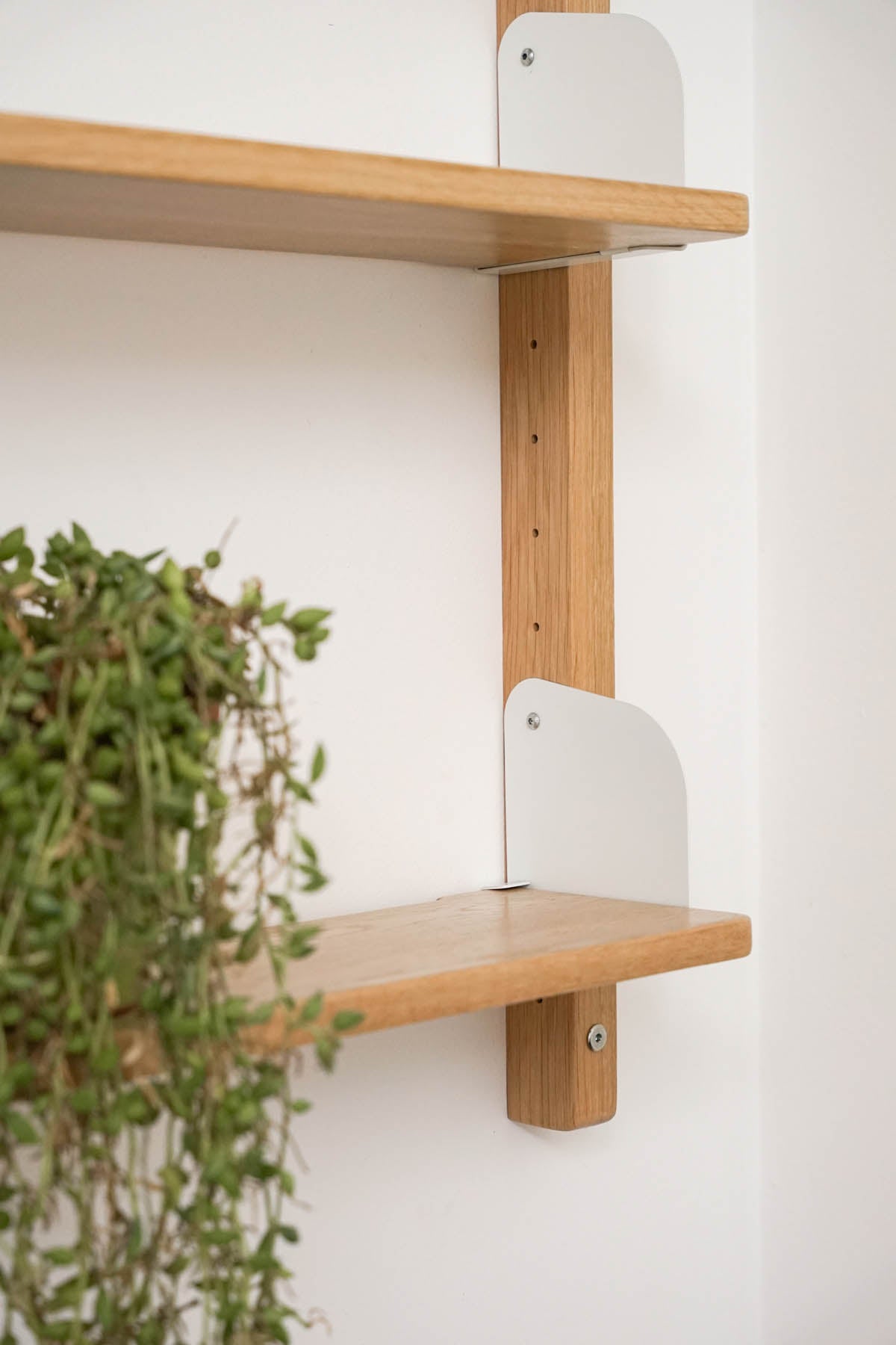 Modular Shelving System - Pedersen + Lennard