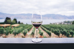 red wine vinegar