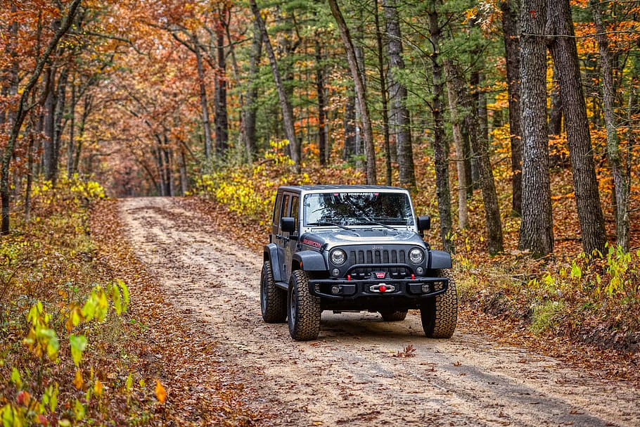 Your Guide to Installing Larger Tires on Your Jeep - XG Cargo