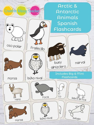 Spanish Winter Clothes Flashcards – Bilingual Marketplace