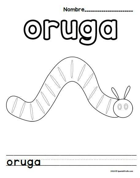 La oruga muy hambrienta (The Very Hungry Caterpillar in Spanish ...