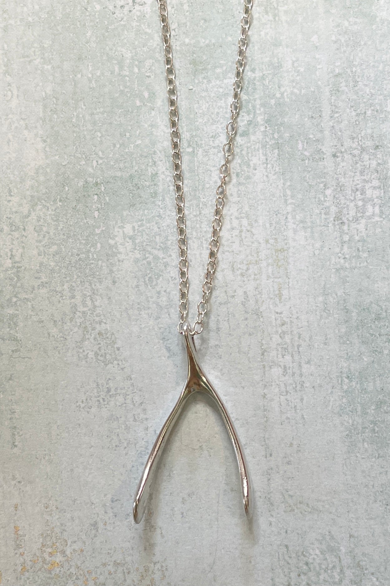 Echo Wishbone Silver Pendant