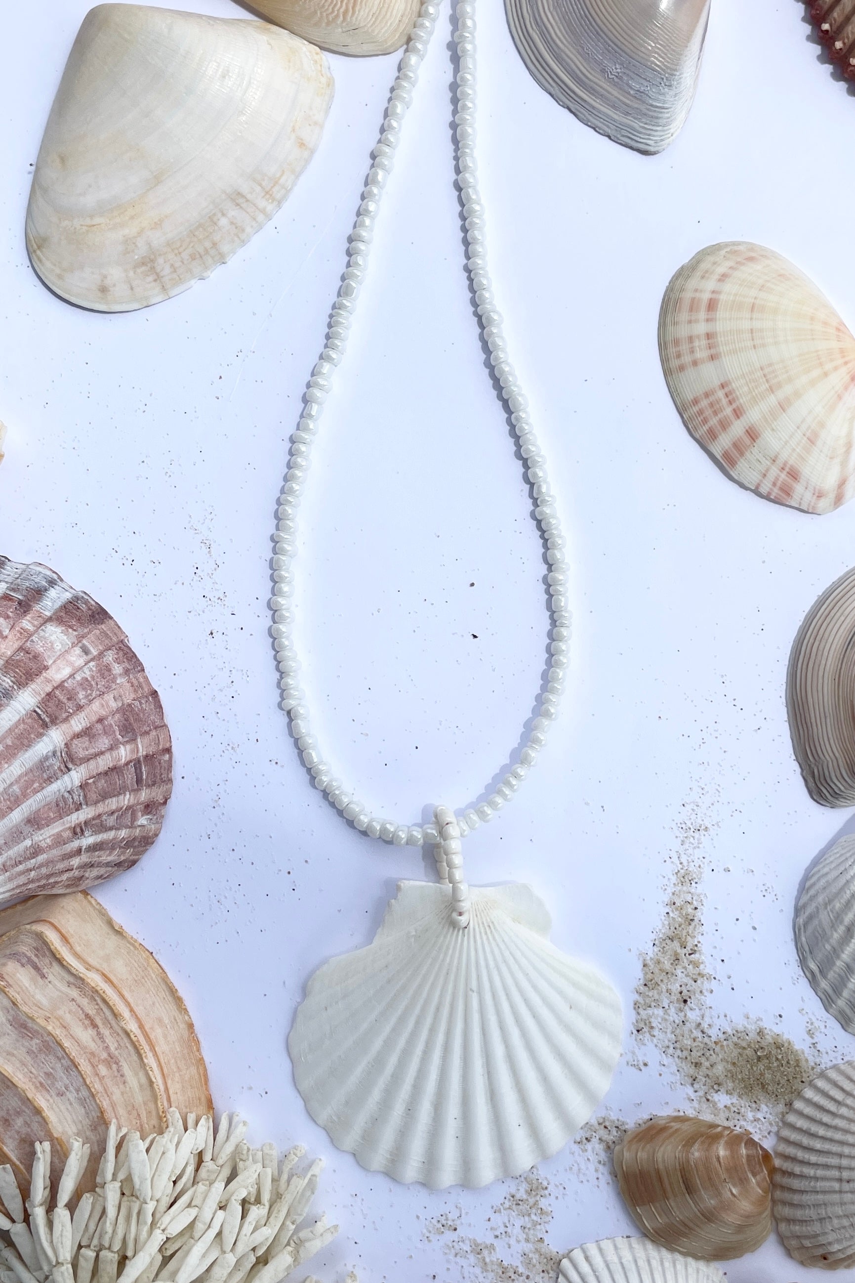 Necklace Sea Shell Island White