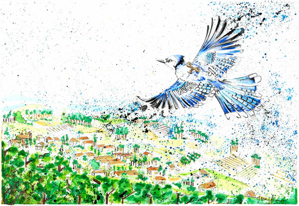 JanaRoos-illustraties-Een blauwe vogel