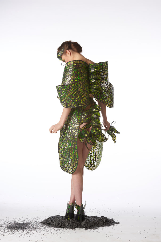 Fashion&Costumedesign-a wonderful world - libelle - JanaRoos