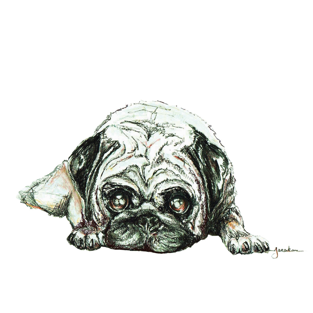 JanaRoos-illustration-dogs-mops-pugg