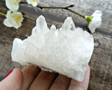 Chrysanthemum Quartz Crystal Cluster - Rose and Rabbit Designs