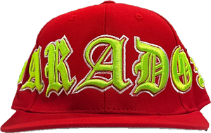 Paradox Red Fitted Hat - The Cellar Buffalo