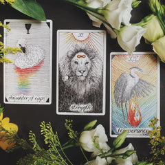 new moon water signs tarot scope the wild unknown