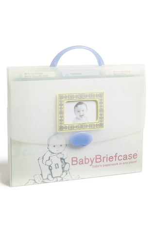 Baby Briefcase Document Organizer