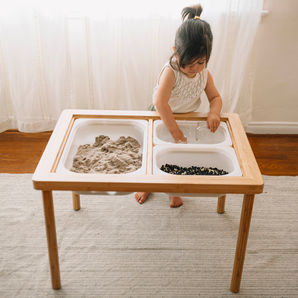 Wonder & Wise Land, Sand, & Water Table