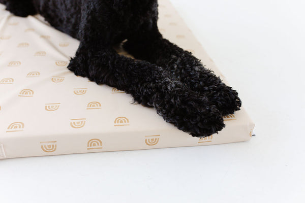 a close up of a dog's paws laying on a toki dog bed