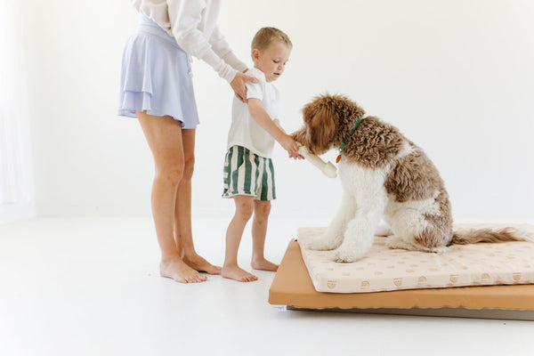 mom and child petting a dog on a toki dog bed