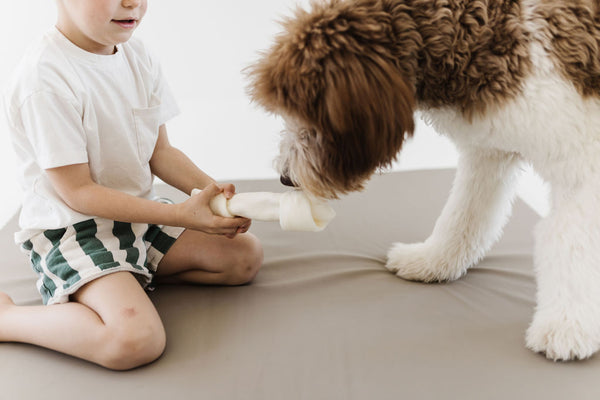 child playing with dog on a toki dog bed