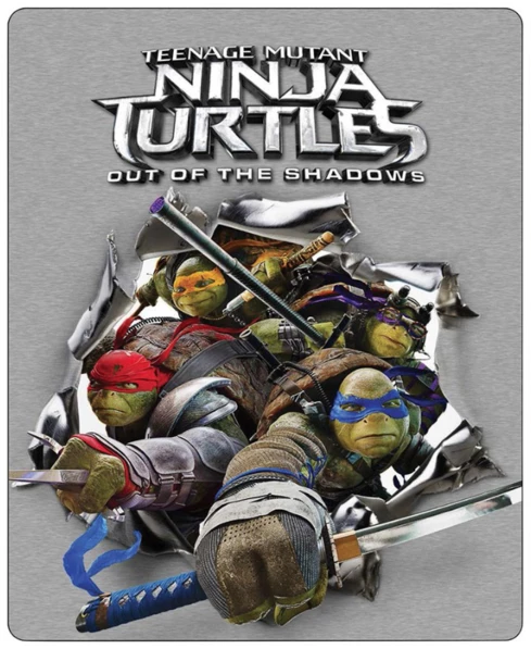 Teenage Mutant Ninja Turtles: Out of the Shadows (DVD)