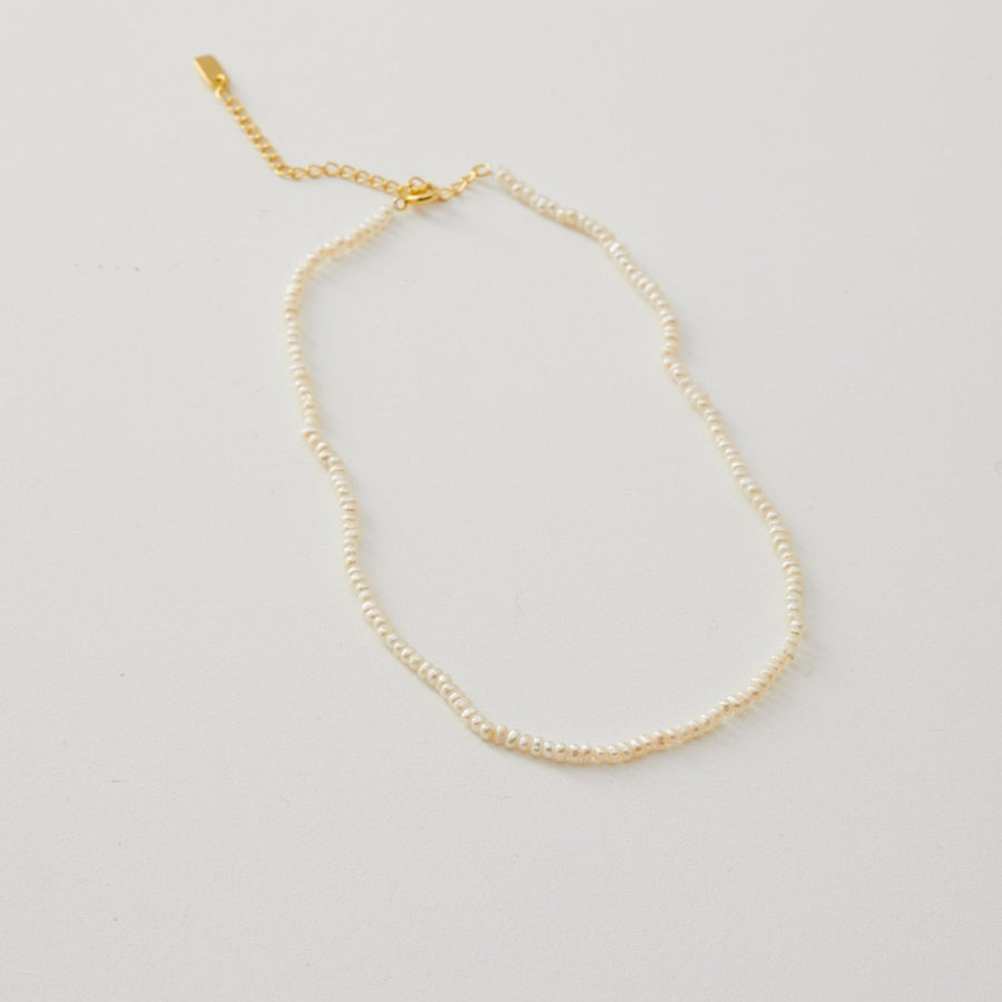 chloe choker necklace