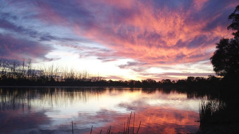 Murray-Darling Basin: SA accused of holding Murray River to ransom over future of billion-dollar plan ABC News: James Hancock