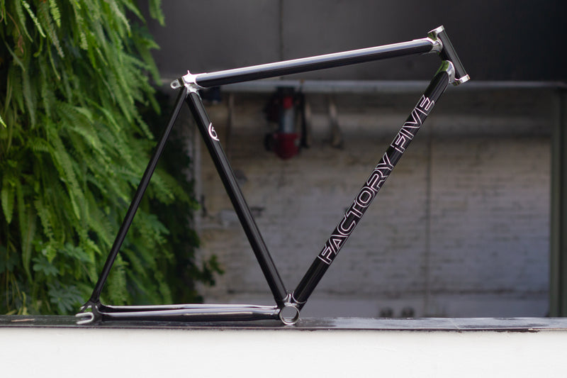 bianchi fixie frame