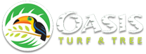 Oasis Turf