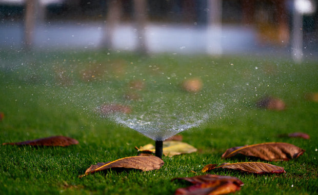 Water droplets on green grass during daytime