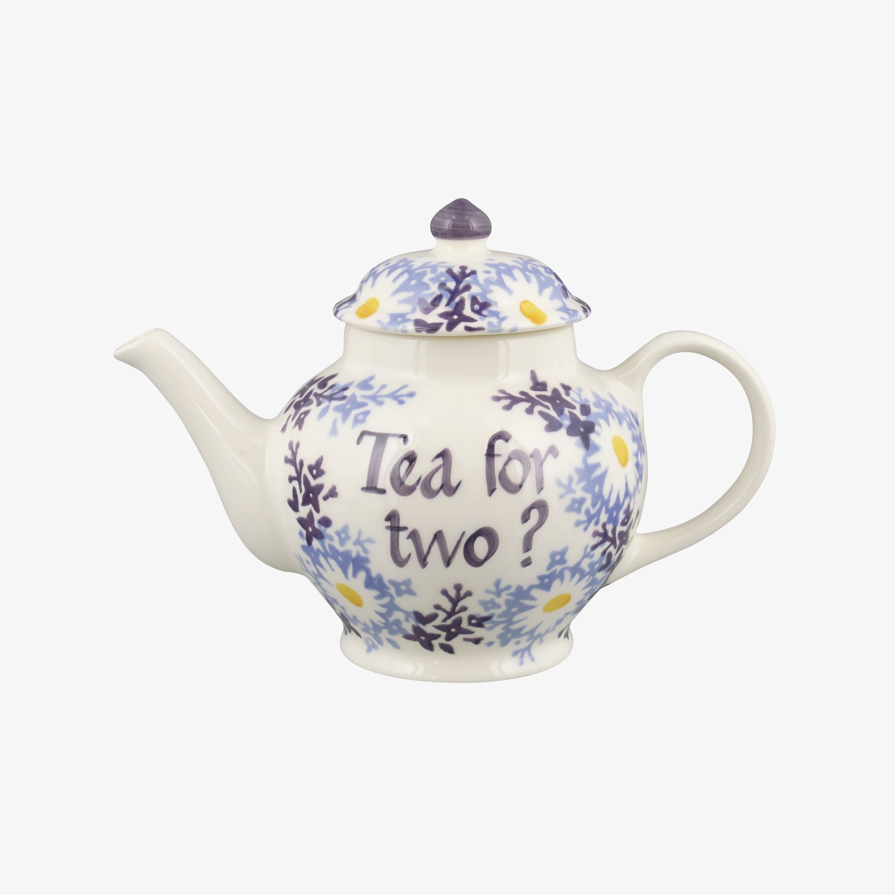 Personalised Blue Daisy Fields 2 Mug Teapot  - Customise Your Own Pottery Earthenware  | Emma Bridge