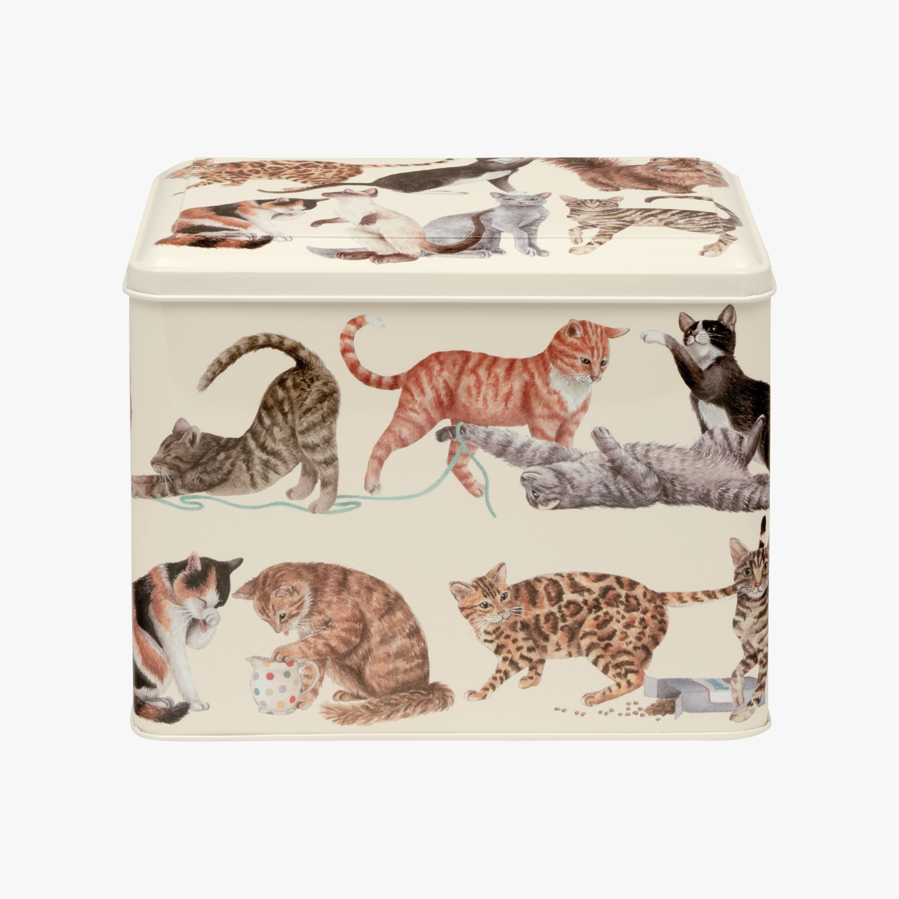 Emma Bridgewater  Cats Extra Large Rectangular Caddy