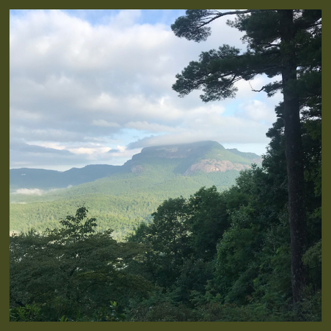 Views from Cashiers, NC