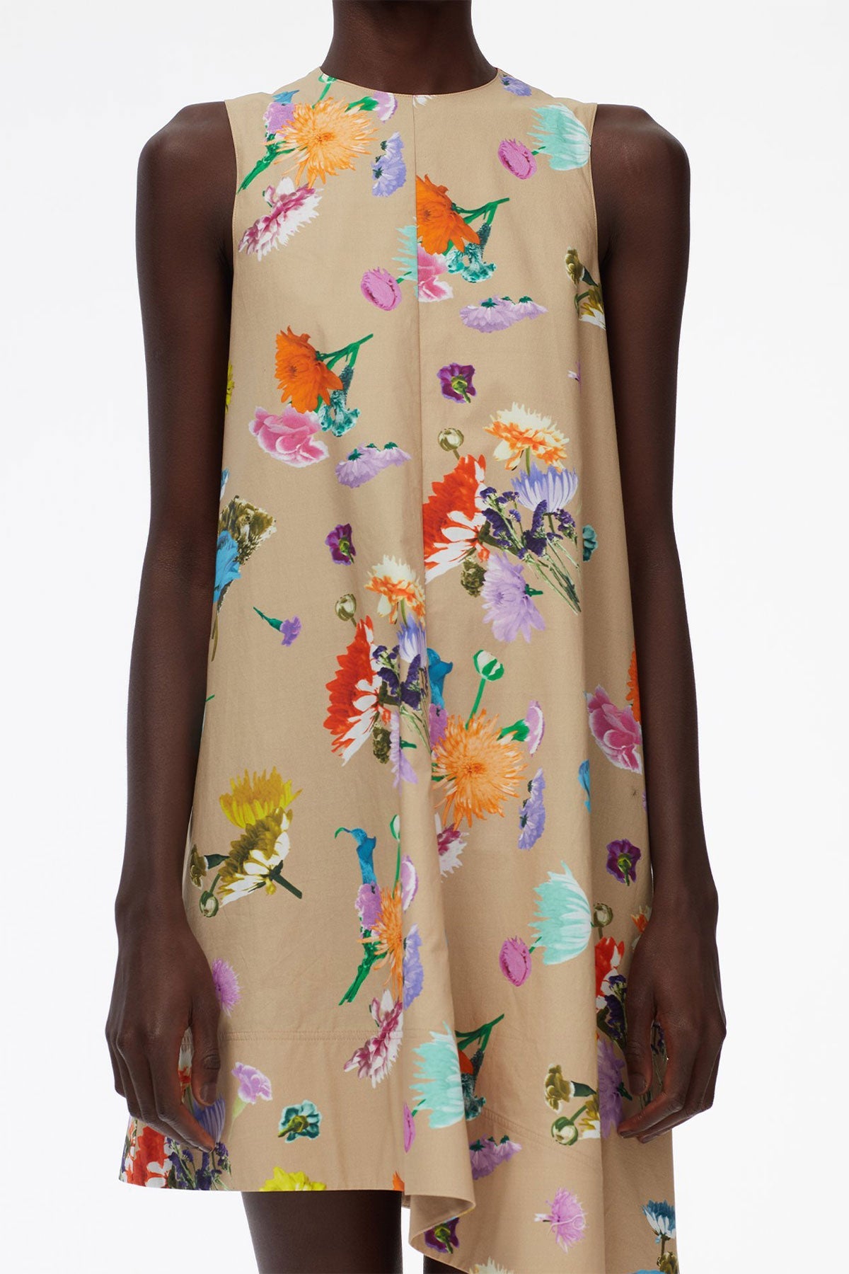 Arya Print Sleeveless Dress