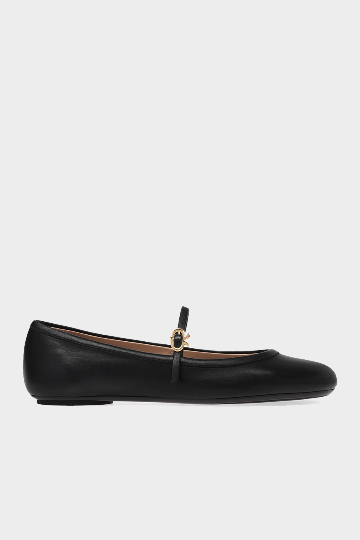 Carla Leather Ballerina Flats in Black