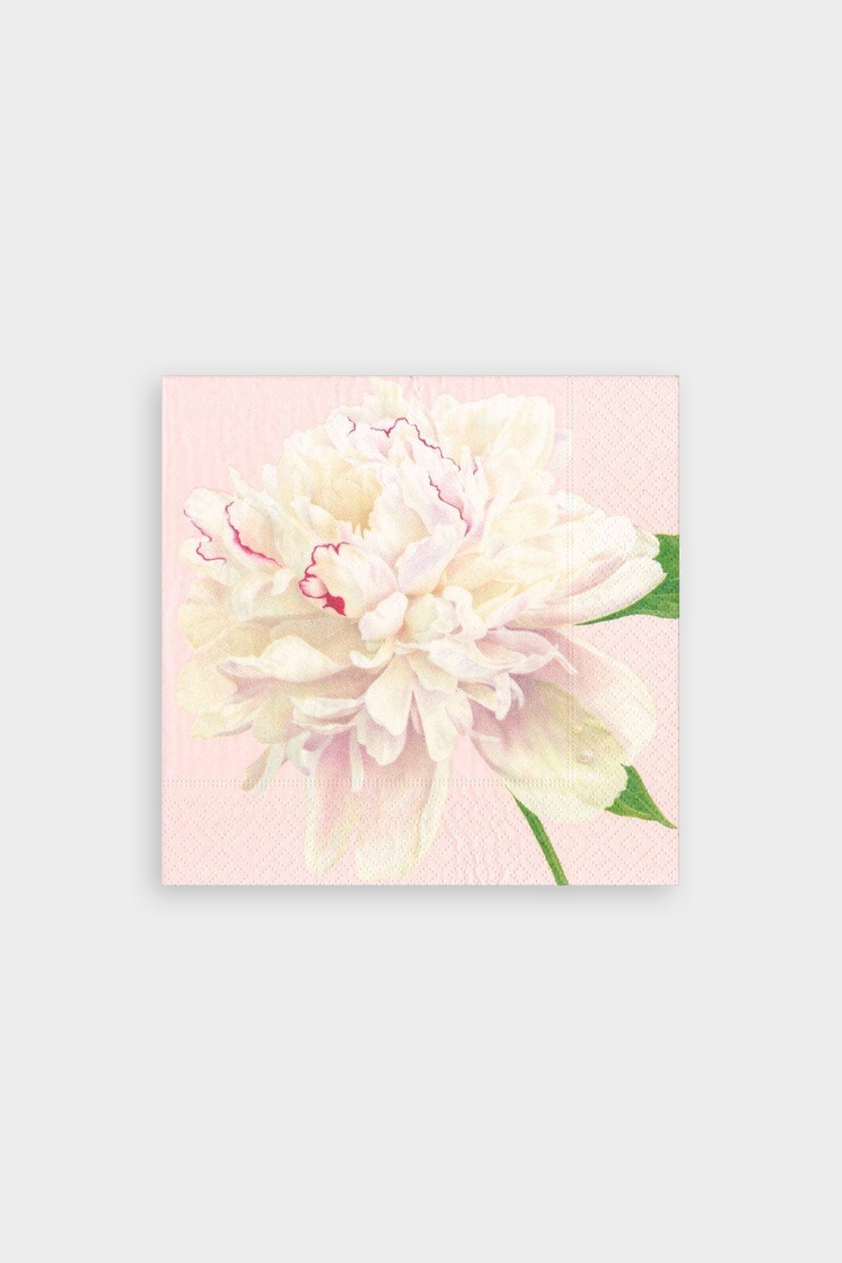 Duchess Peonies Paper Cocktail Napkins in Blush