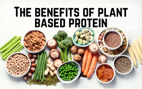 The 5 Benefits of Plant Based Protein – BioHealth Nutrition