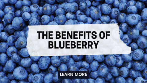 The Benefits of Blueberry
