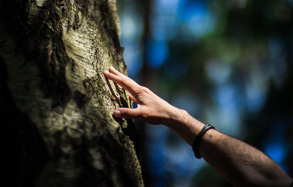 Tree Spirit Animism