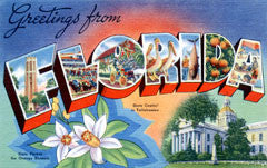 Greetings from Florida Postcards