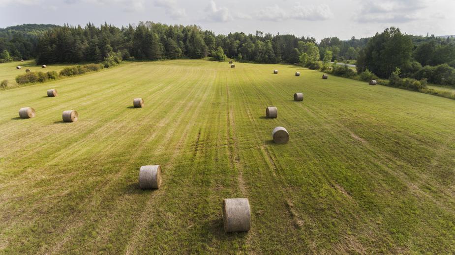 hay bails for sock club