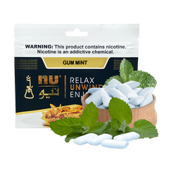 Nu Gum Mint Pouch 100g