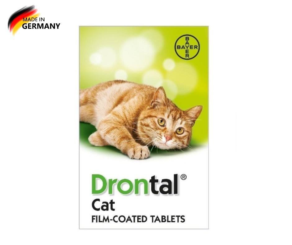 drontal cat bayer